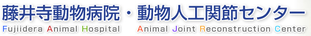 藤井寺動物病院　－Fujiidera Animal Hospital－　|　動物人工関節センター　-Animal Joint Reconstruction Center -