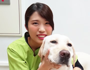 動物看護師 吉田梨央