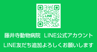 藤井寺動物病院　LINE公式アカウント　LINE友達追加よろしくお願いします