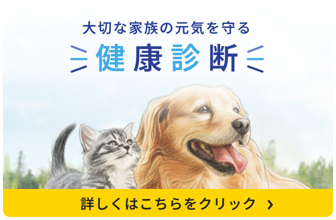 大切な家族の元気を守る健康診断