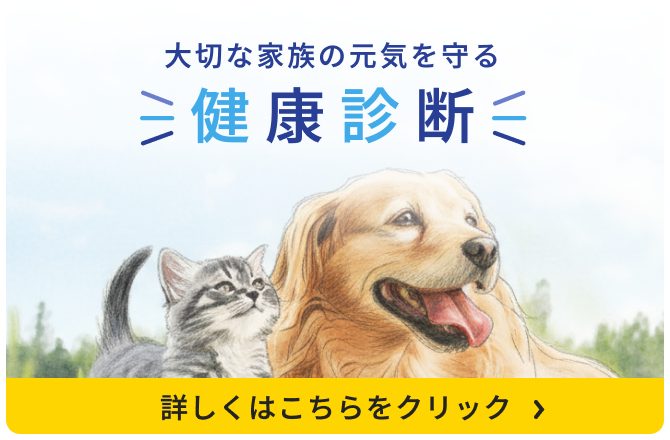 大切な家族の元気を守る健康診断