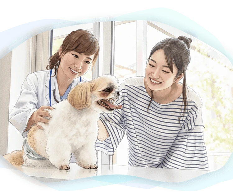 藤井寺動物病院の求人情報