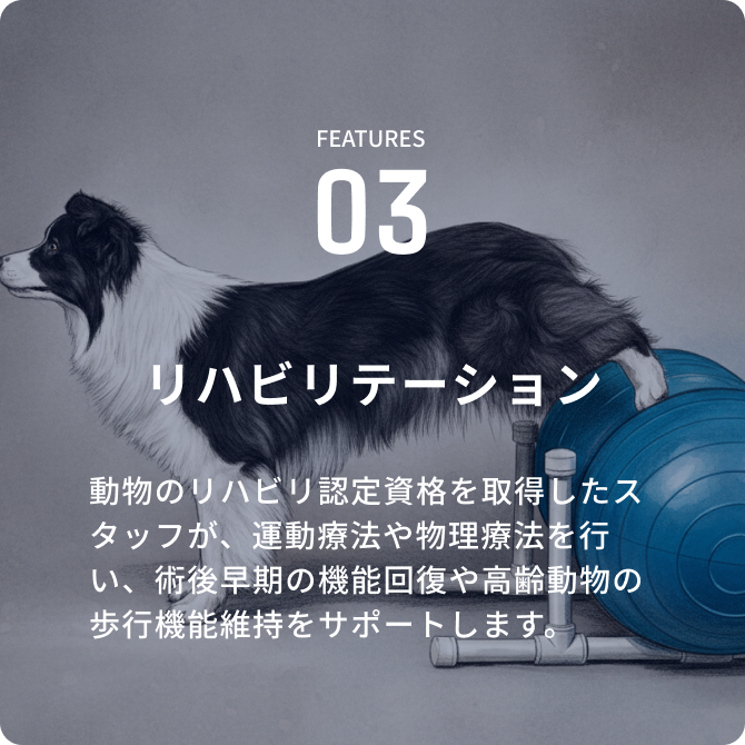 リハビリテーション