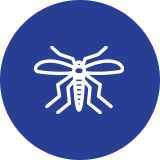 フィラリア予防