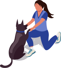 リハビリテーション科