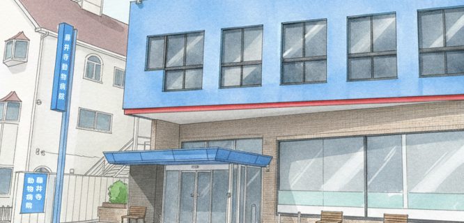 藤井寺動物病院のイラスト